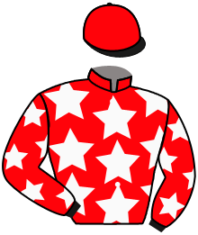 Casaque de WOODSTARS