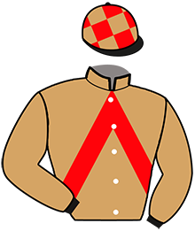 Casaque de LADY DU FOREZ