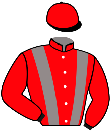 Casaque de ARNAY LE DUC