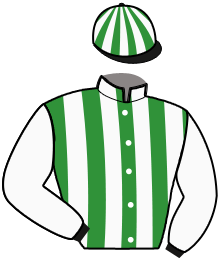 Casaque de MYRTILLE UP STAR