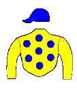 Casaque de CRAZY HORSE