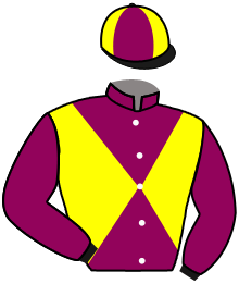 Casaque de GREAT WISH