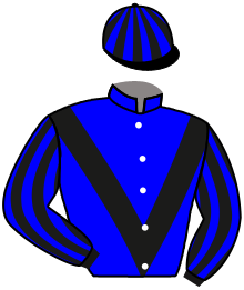 Casaque de JANE DE LA BRUNIE