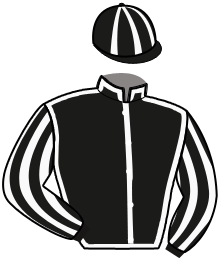 Casaque de LINGOT D'ARGENT