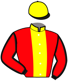Casaque de NOTORIOUS ERCA