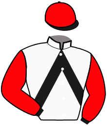 Casaque de NEW STAR ROC