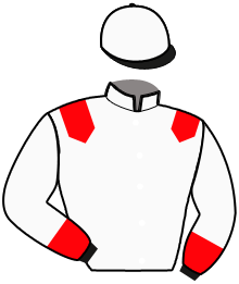 Casaque de MAGIC ONE