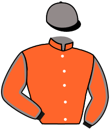 Casaque de ZANZARE'S