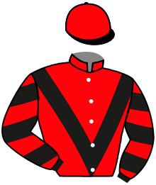 Casaque de ALFINA