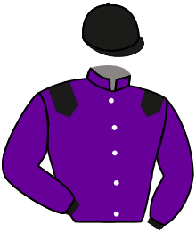 Casaque de ROYAL SHAKE