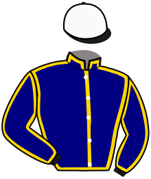 Casaque de LOYAL ELEVEN