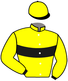 Casaque de HICKORY