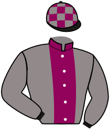 Casaque de AL MARID