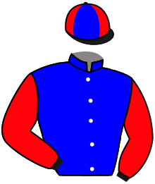 Casaque de CAPTAIN HENRY