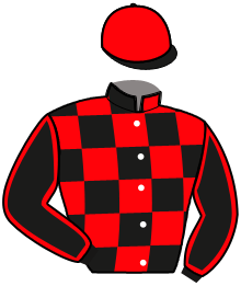 Casaque de NATIONAL HERO