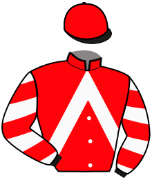 Casaque de HERCULE DE L'OISON