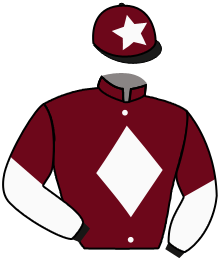 Casaque de FANTASTIC FIGHTER
