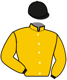 Casaque de NATIWHEL