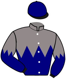 Casaque de NEWTON RENARDIERE