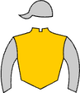 Casaque de KING OF MAGIC