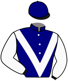 Casaque de WULF D'AUTEUIL
