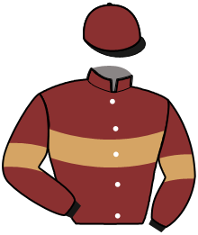Casaque de JOS DU PILET