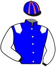 Casaque de IDEAL WINNER