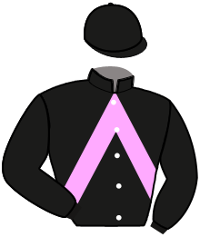 Casaque de NIKY DU LOGIS