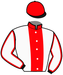 Casaque de INKERMAN DE PLAY