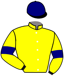 Casaque de HARTWOOD MAN