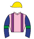 Casaque de MOLINO DE VIENTO