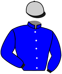 Casaque de DULCINA CHOP
