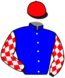 Casaque de JARDIN BLEU