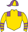 Casaque de IRON STAR