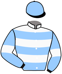 Casaque de MISTERWINNER