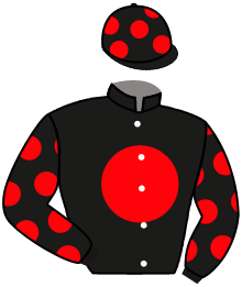 Casaque de NAVAJOS
