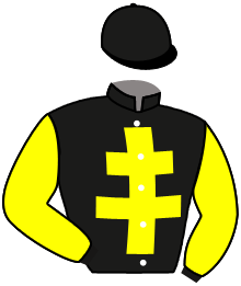 Casaque de YELLOW HAWK