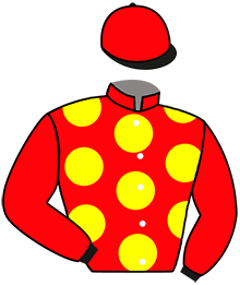 Casaque de LEONITO STAR