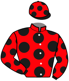 Casaque de NAPOLEON DE NIELES