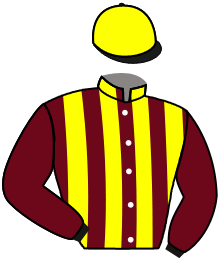 Casaque de LEADING DANCER