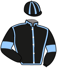 Casaque de MAJESTRIA FILI