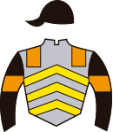 Casaque de VILLAMARE