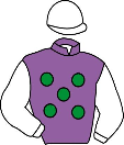 Casaque de ZARPADA SOLA