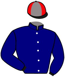 Casaque de LITTLE BROWN