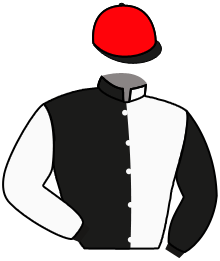 Casaque de BRILLIANT STAR