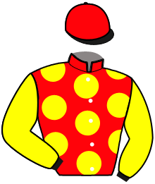 Casaque de KINGSTON SPORT
