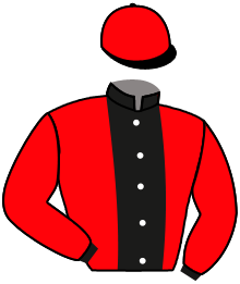 Casaque de STEFFL