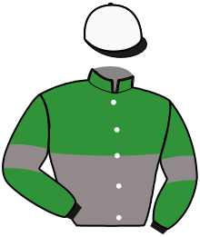 Casaque de IRISH NICE ELGE