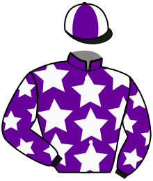 Casaque de MISTER JOHNS
