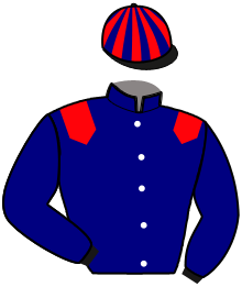 Casaque de MILLESIME DARLING